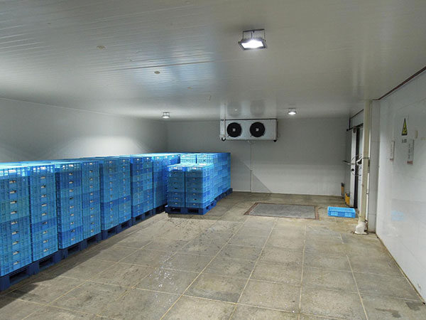 冷藏冷庫(kù)建造